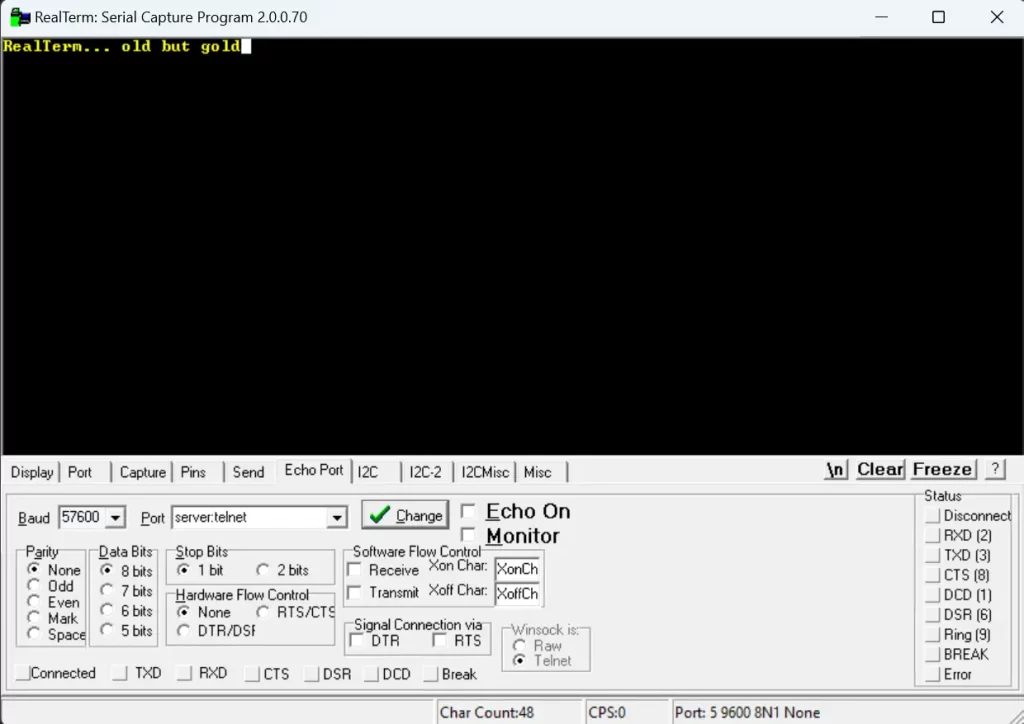 RealTerm Echo Port